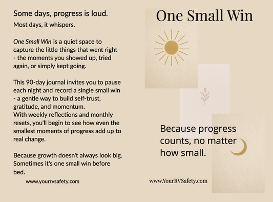 One Small Win: Because Progress Counts, No Matter How Small $7.99